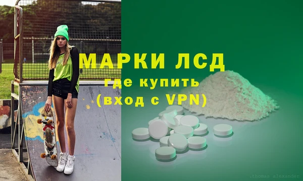 стаф Алзамай