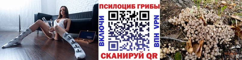 хочу наркоту  Дедовск  Псилоцибиновые грибы MAGIC MUSHROOMS 